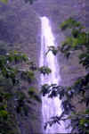 Waimoku Falls.
