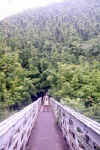 Bridge over the falls that leads to the bamboo forest